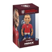 Obrázek MINIX Football: NT Czech Republic - COUFAL