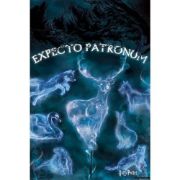 Obrázek Plakát Harry Potter - Patronus
