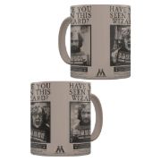 Obrázek Hrnek Harry Potter - Sirius Black, měnící se