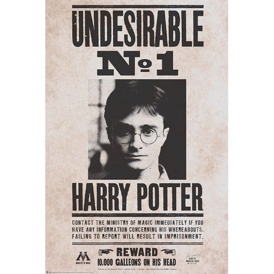 Obrázek Plakát Harry Potter - Undesirable n°1