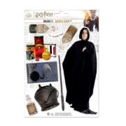 Obrázek Sada magnetek Harry Potter - Severus Snape (8 ks)