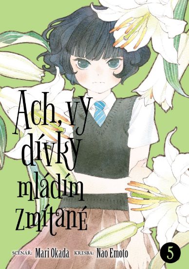 Obrázek Ach, vy dívky mládím zmítané 5