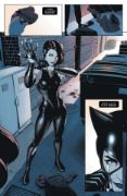 Obrázek Batman - Špatný den: Catwoman / Mr. Freeze