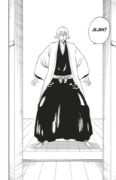 Obrázek Bleach 36: Turn Back The Pendulum
