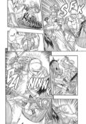 Obrázek Berserk 05