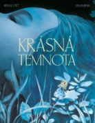 Obrázek Krásná temnota