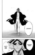 Obrázek Bleach 22 - Conquistadores