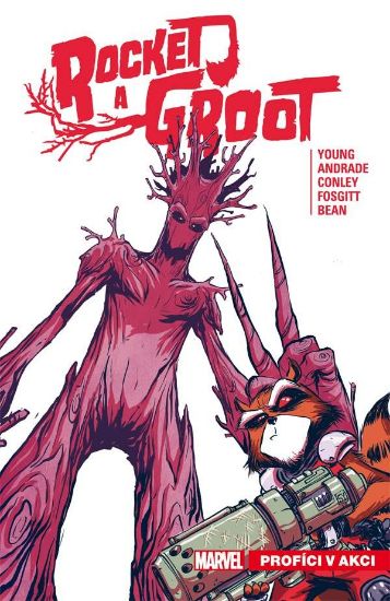 Obrázek Rocket a Groot 1: Profíci v akci
