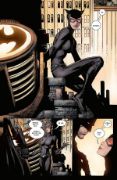 Obrázek Batman 03: Já jsem zhouba