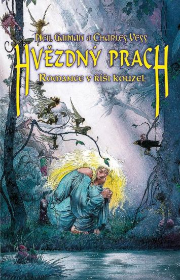 Obrázek Hvězdný prach: Romance v říši kouzel