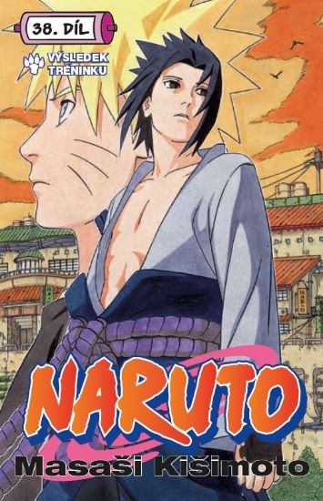 Obrázek Naruto 38: Výsledek tréninku