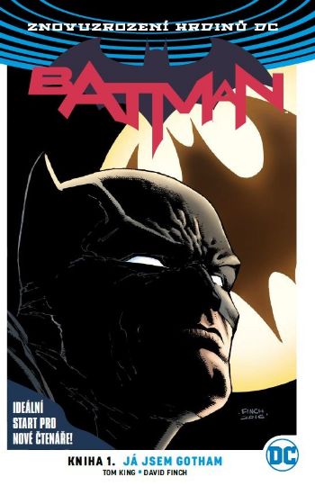 Obrázek Batman 01: Já jsem Gotham V8