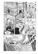 Obrázek Usagi Yojimbo 25: Hon na lišku