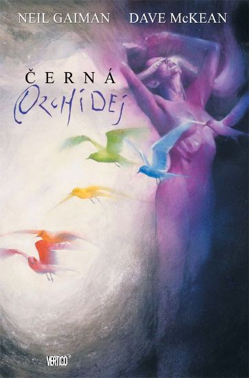 Obrázek Černá orchidej