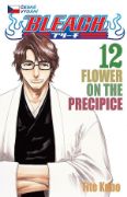 Obrázek Bleach 12 - Flower On The Precipice