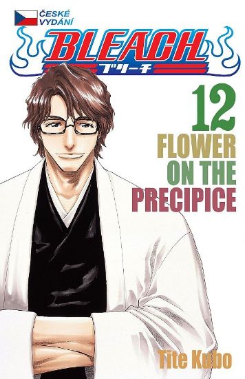 Obrázek Bleach 12 - Flower On The Precipice