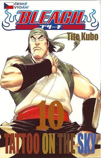 Obrázek Bleach 10 - Tatoo on the sky