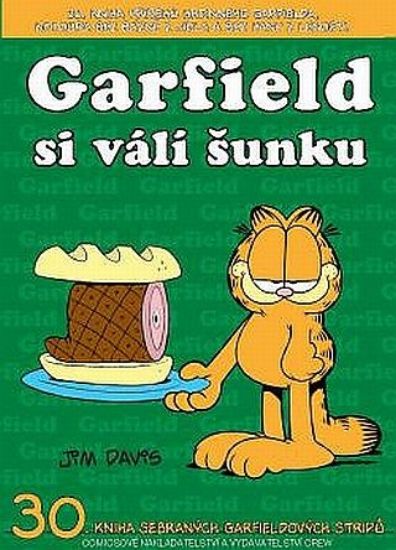 Obrázek Garfield -30- si válí šunku