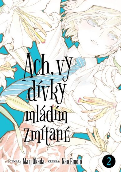 Obrázek Ach, vy dívky mládím zmítané 2