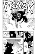 Obrázek Bleach 11 - A Star and a Stray Dog