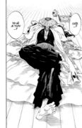 Obrázek Bleach 12 - Flower On The Precipice