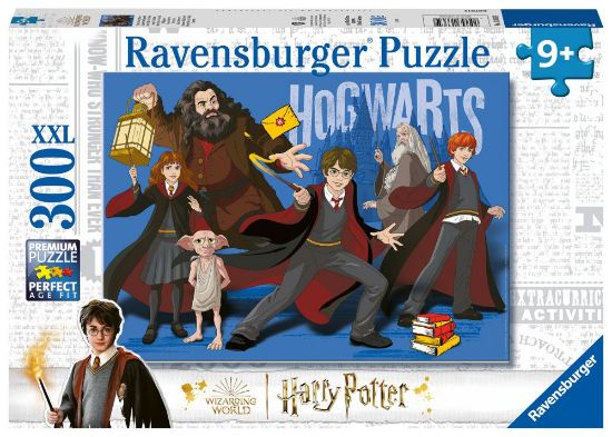 Obrázek Harry Potter a čarodějové 300 dílků