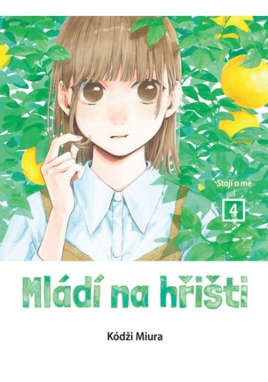 Obrázek Mládí na hřišti 4: Stojí o mě