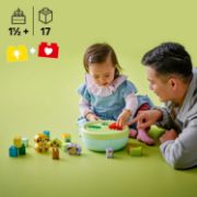 Obrázek Třídění tvarů: Domeček pro štěňátka