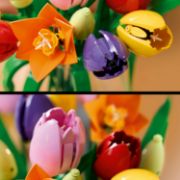 Obrázek Kytice tulipánů