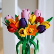 Obrázek Kytice tulipánů