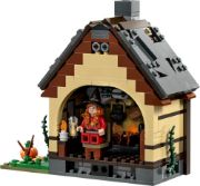 Obrázek LEGO® Ideas Disney Hokus pokus: Chatka sester Sandersonových