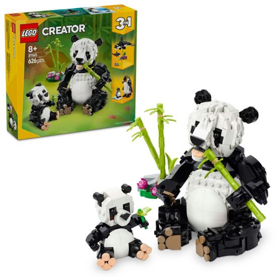 Obrázek Divoká zvířata: Pandí rodinka