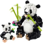 Obrázek Divoká zvířata: Pandí rodinka