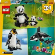 Obrázek Divoká zvířata: Pandí rodinka
