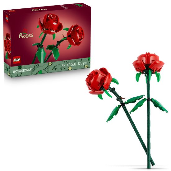 Obrázek Růže
