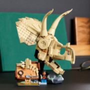 Obrázek Dinosauří fosilie: Lebka triceratopse