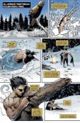 Obrázek Predátor versus Wolverine