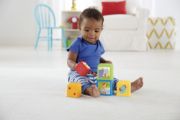 Obrázek Fisher Price zvířátková věž