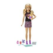 Obrázek Barbie chůva + miminko / doplňky asst  