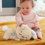 Obrázek Fisher Price králíček se zklidňující hudbou