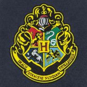 Obrázek Vlajka Harry Potter - erb Bradavic
