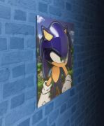 Obrázek Plakát 3D - Ježek Sonic