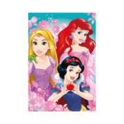 Obrázek Puzzle Krásné princezny 24 dílků