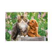 Obrázek Puzzle Pejsek a kočička na zahradě 2x48 dílků