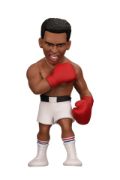 Obrázek MINIX Sport: Muhammed Ali - Muhammed Ali