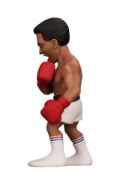 Obrázek MINIX Sport: Muhammed Ali - Muhammed Ali