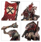 Obrázek AGE OF SIGMAR: INTRODUCTORY SET (ENG)