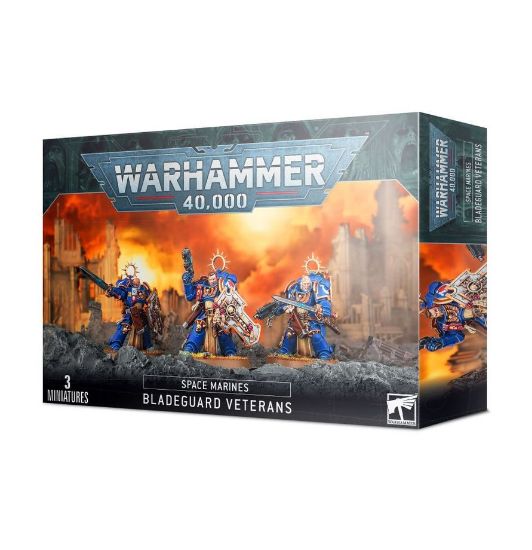 Obrázek SPACE MARINES BLADEGUARD VETERANS