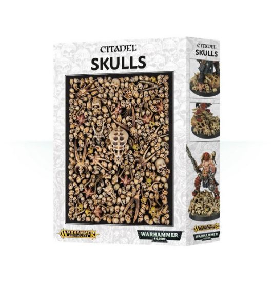 Obrázek CITADEL SKULLS