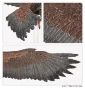 Obrázek M-E SBG: GREAT EAGLES